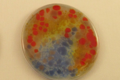 AD37_RiverRoad_sq600px72ppi