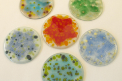 AD56-61_StarCoasters_sq300px72ppi