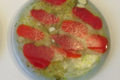 AD68_RedOliveCream_sq800px72ppi