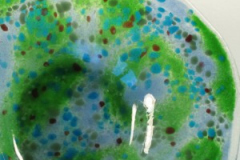 PB32GreenBlueWithYelSpot_sq457px72ppi1-300x300-1